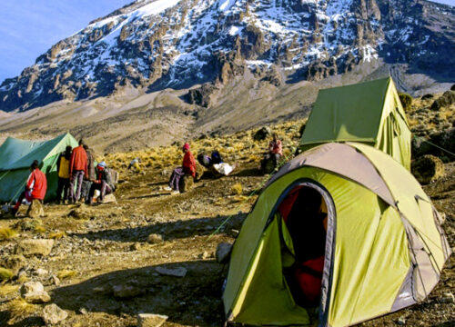 7 Days Machame Route Mount Kilimanjaro Trekking