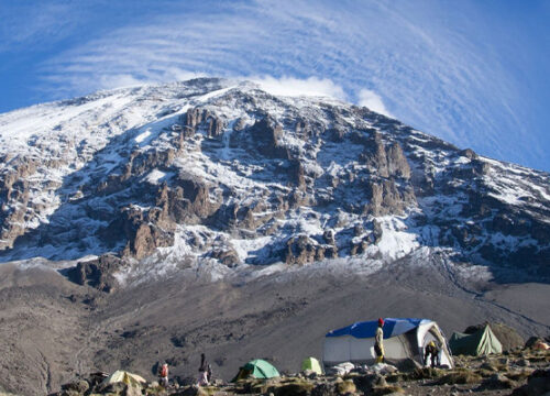 7 Days Lemosho Route Mount Kilimanjaro Trekking