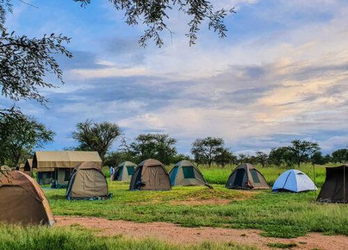 7 Days Tanzania Budget Camping Safari