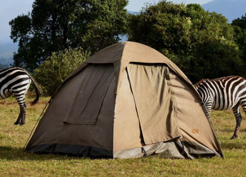 5 Days Tanzania Budget Camping Safari